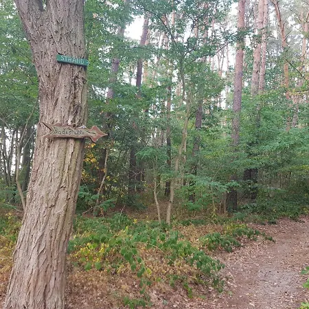 度假居 Blockhaus Mit Fahrraedern *