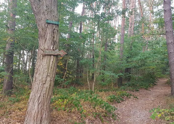 Semesterbostad Blockhaus Mit Fahrraedern *